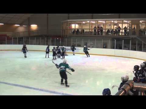 Salon Kiekkohait kausikooste 2013-2014