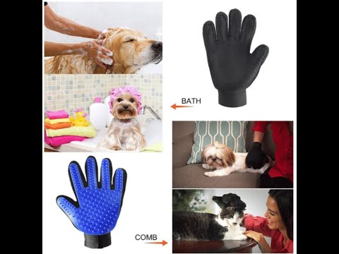 Massage für Dein Haustier!