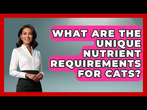 What Are the Unique Nutrient Requirements for Cats? | Ask A Pet Vet