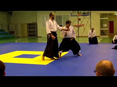 Aikido Budo Brescia   stage Pascal Guillemin gen 2016