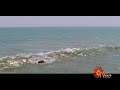 Karuppu Roja Karayil Idho Oru Paatu
