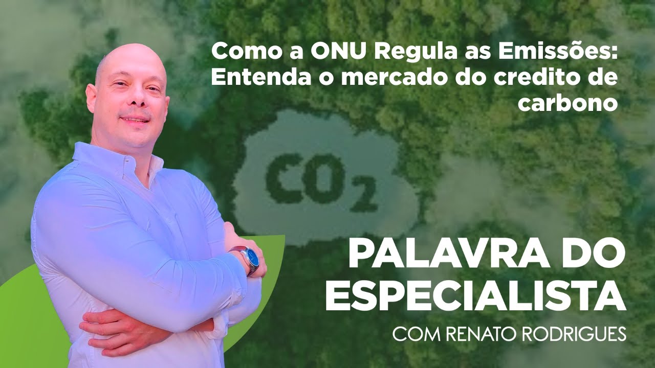 Como a ONU Regula as Emissões: Entenda o mercado do credito de carbono | Palavra de especialista