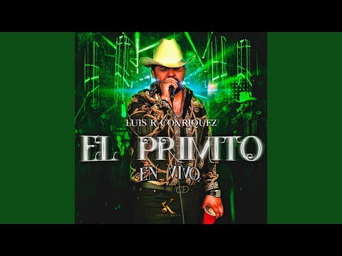 El Primito (En Vivo)