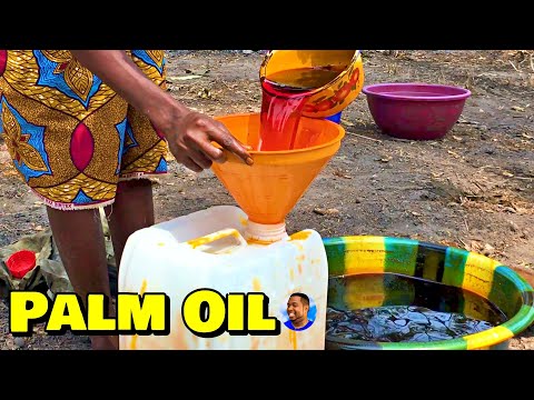 PURE PALM OIL PRODUCTION At Triple-A Healthy Harvest Farm - ???????? Episode 4 - Farming In Sierra Leone