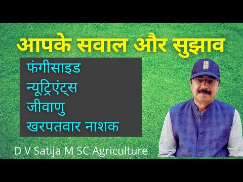 ssp, zinc, potash,  fungicide, nominee gold,  microbes, nutrients