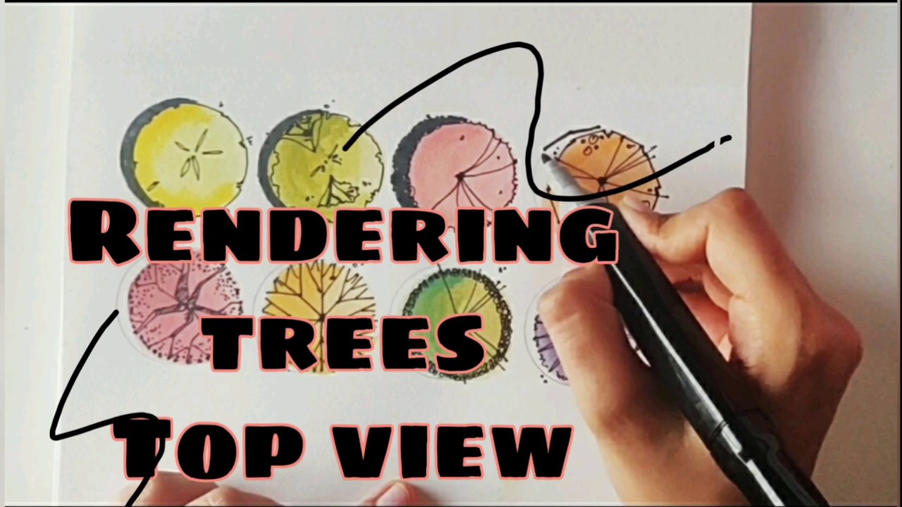 Tree rendering for landscape drawing l top view l part 2