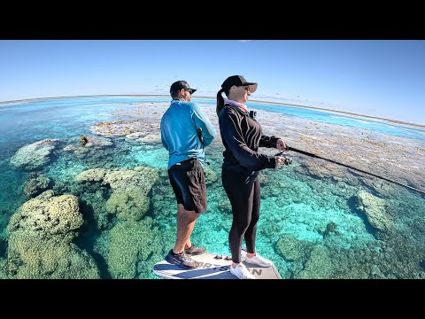 Great Barrier Reef Sight Fishing in a 17ft Boat (120km Offshore!)