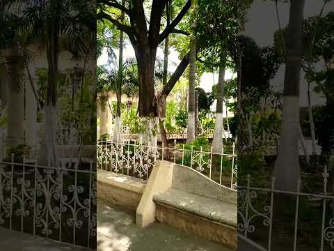 Asuncion mita