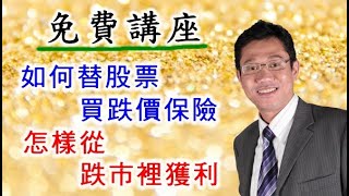 如何替股票買跌價保險