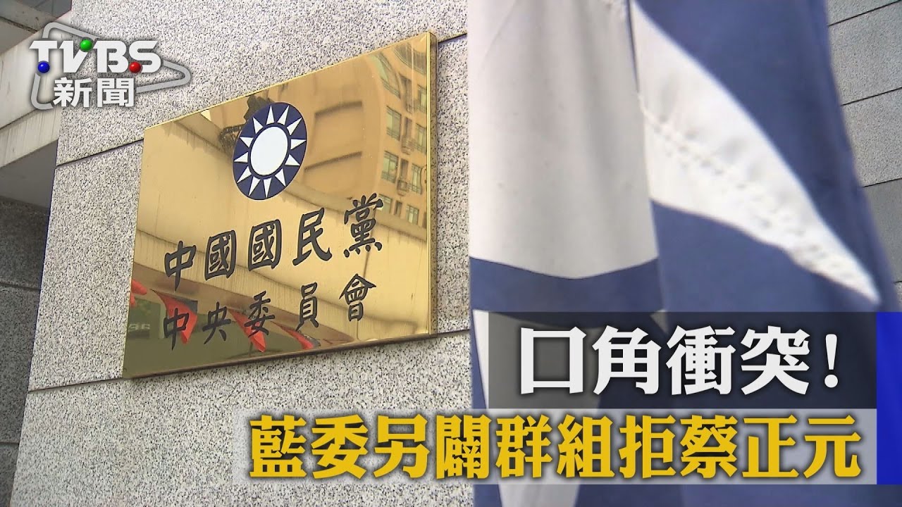 口角衝突! 藍委另闢群組拒蔡正元