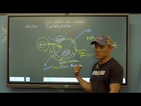MetFix Boise video.