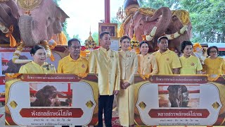 เฮลั้น ! ชื่อช้างแฝด ชายหญิง คู่แรกของโลกประกาศแล้ว