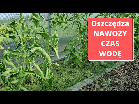 Skoszona trawa rewelacyjne właściwości