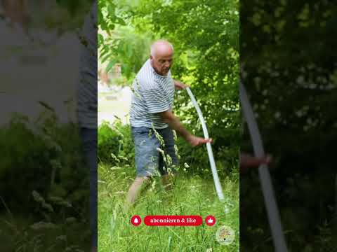 Blumenwiese vergrast? In 30 Sekunden die Lösung (ohne Panik) - Gartenexpedition  #shorts