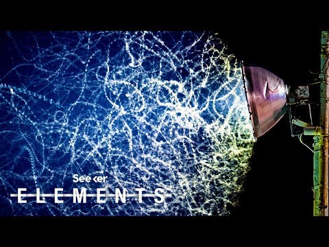 Light Pollution Is One of the World’s Biggest Buzzkills…Here’s Why