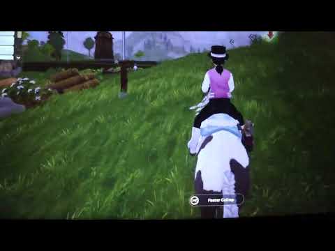 Silver glade champ sso