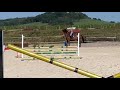Nikita de Molion, Jument, 3 ans, Bai; SF, toise 1. 70