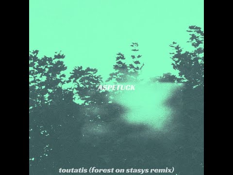 MNMT Premiere : Aspetuck - Toutatis (Forest On Stasys Remix)