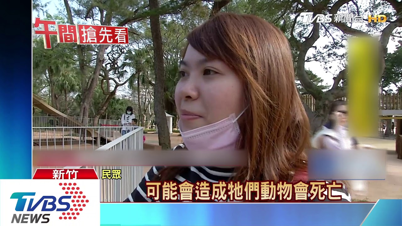 丟給你吃!亂扔食物餵猴子 遭批不良示範