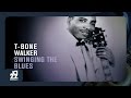 T-Bone Walker - Come Back To Me Baby