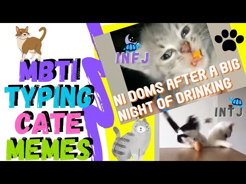 Highly Stereotyped MBTI cat Memes | The 16 Personalities YEET