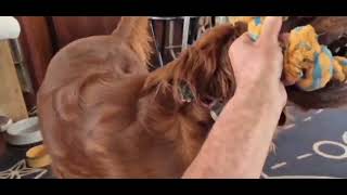 Rhino Skin  - Tom Petty and the Heartbreakers. 