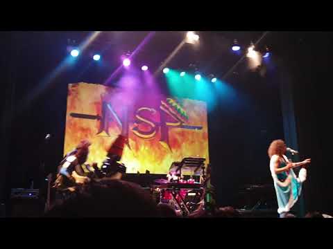 Ninja Sex Party Sydney Australia 2019- Bloopy Reggae Jams