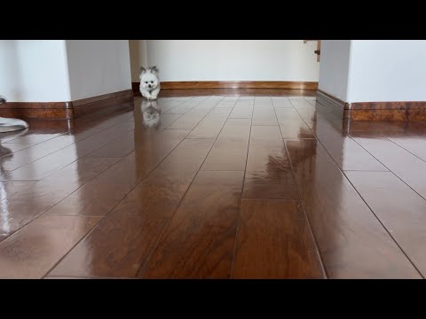 which food does Norbert like better…carrot or green bean?