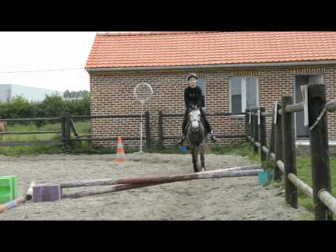 Cheval & Poney : Mon Centre Equestre Manager PC