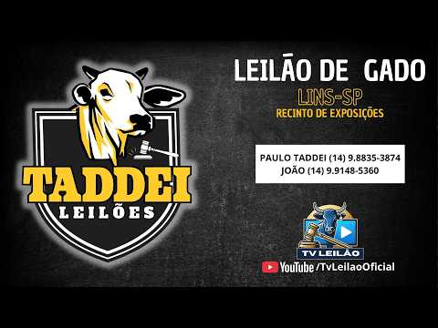 24/06/2026 - TADDEI LEILÕES AO VIVO em LINS/SP | LEILÃO DE GADO