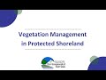 Vegetation Management for Water Quality in Protected Shoreland