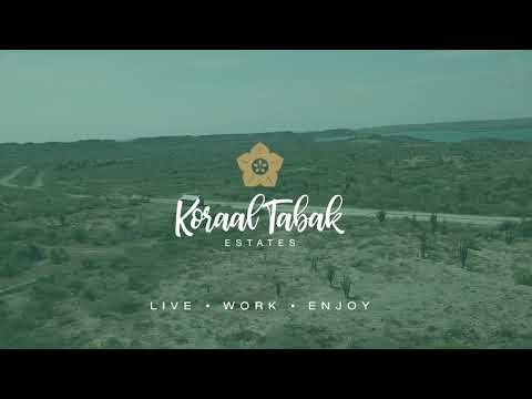 Videovoorbeeld: Appartement in Koraal Tabak