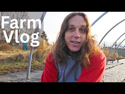 Getting Ready For Spring One Greenhouse At A Time