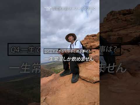 FlustreFlustra foliacea (ここではベルギーの海岸で収集)