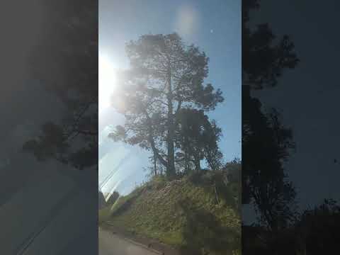 ESTRADA REGIÃO DE CAMPO MAGRO CURITIBA PARANÁ BRASIL