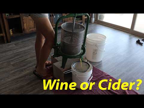Simple Apple Wine Recipe | Make Apple Cider Wine at Home