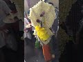 Iyyanar Pambai Udukkai