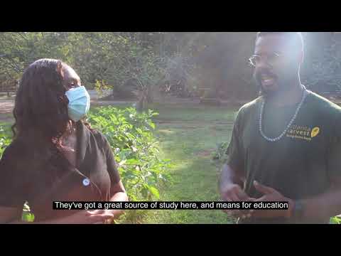 Restore Your Health Podcast Tours with Host Laronda Dawson at the Atlanta Harvest Farm