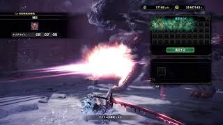モンハン　適当に倒していく
