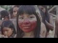 Diario Da Amazonia