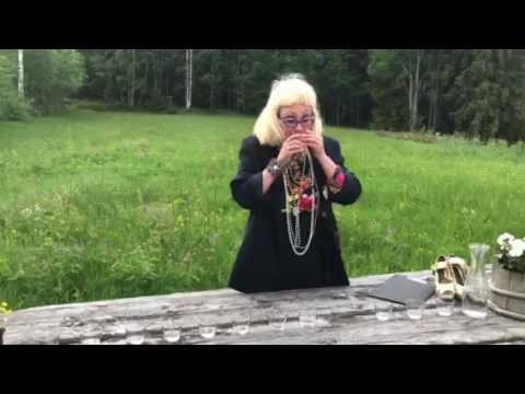 #2 Snaps hör midsommar till av Josephine Goldfinger