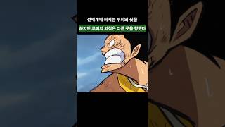 ​전 세계에 생중계된 루피의 출생의 비밀