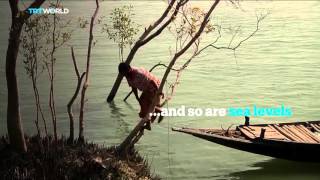 Climate change all over the world