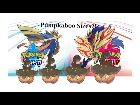 how to tell pumpkaboo size, , , , explanation and resolution of doubts, quick answers, easy guide, step by step, faq, how to