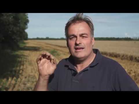 Sukup Europe / DanCorn Silo, Lagersilos & Trockner -- Birkelse Gods - Deutche Sprache