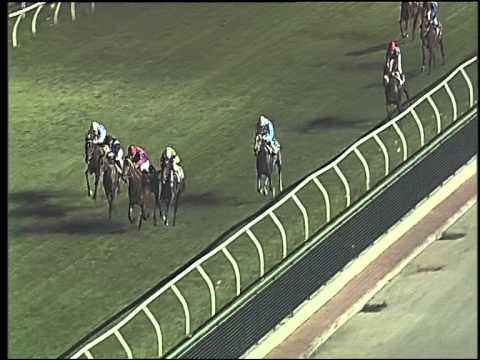 Galoppo 29/07/2015 - 6° corsa