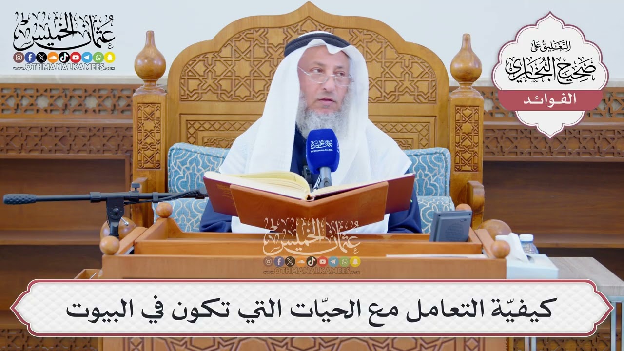 [1284] كيفيّة التعامل مع الحيّات التي تكون في البيوت - عثمان الخميس