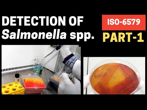 Detection of Salmonella species in Different Samples (Part-1)_A Complete Procedure (ISO 6579-1:2017)