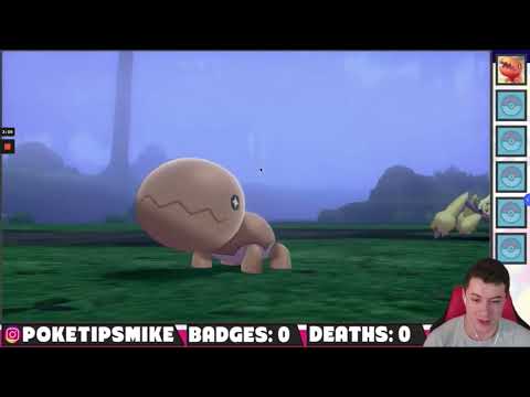 KidObsidian reacts to Route 1's SECRET LEGENDARY   Pokemon Sword and Shield   part 2