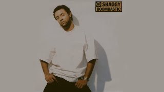 Shaggy ~ Mr Boombastic (Live on British tv/c.c.)
